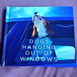 Dogs hanging out of windows pic
